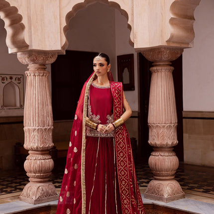 Collection image for: Nigaar