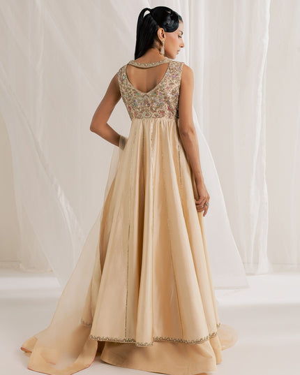 Back view of Eraya Serene Aurora champagne peshwas lehnga showing embellished yoke and dupatta