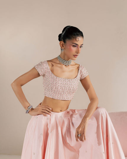 Eraya Serene Blossom blush pink lehnga choli with embellished choli and all-over sprayed lehnga